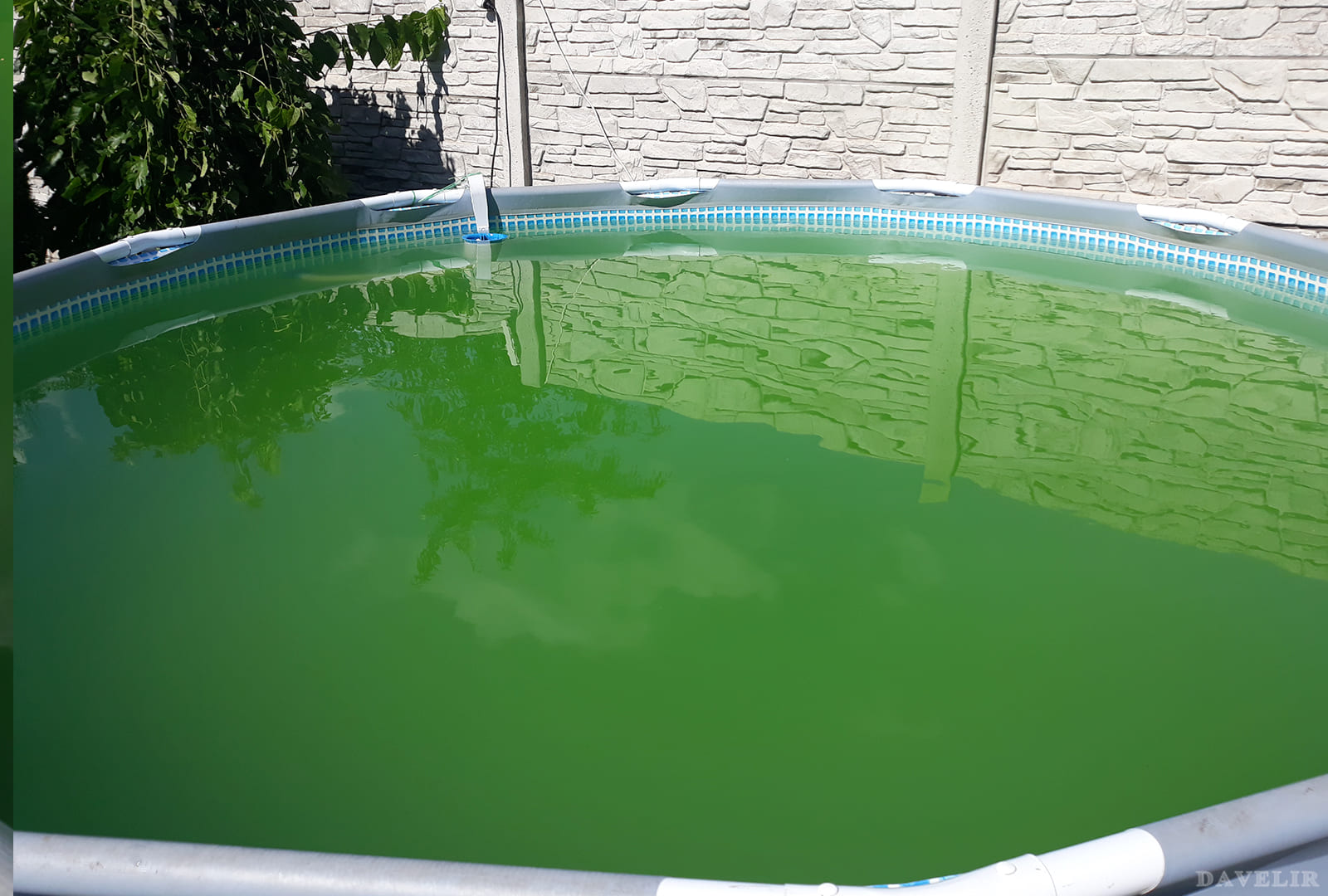Зеленая вода в бассейне